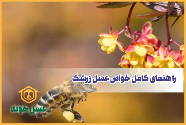 راهنمای کامل خواص عسل زرشک: از کنترل قند تا پیشگیری از سرماخوردگی